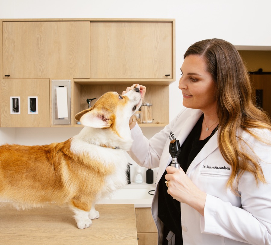 Veterinarians