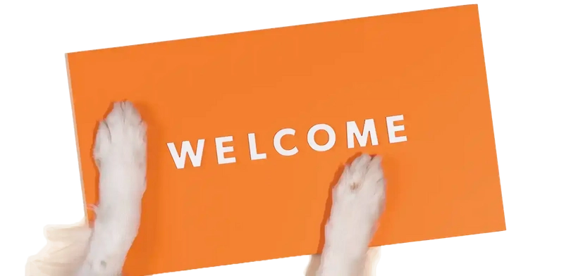 A dog peeking from behind an orange welcome sign