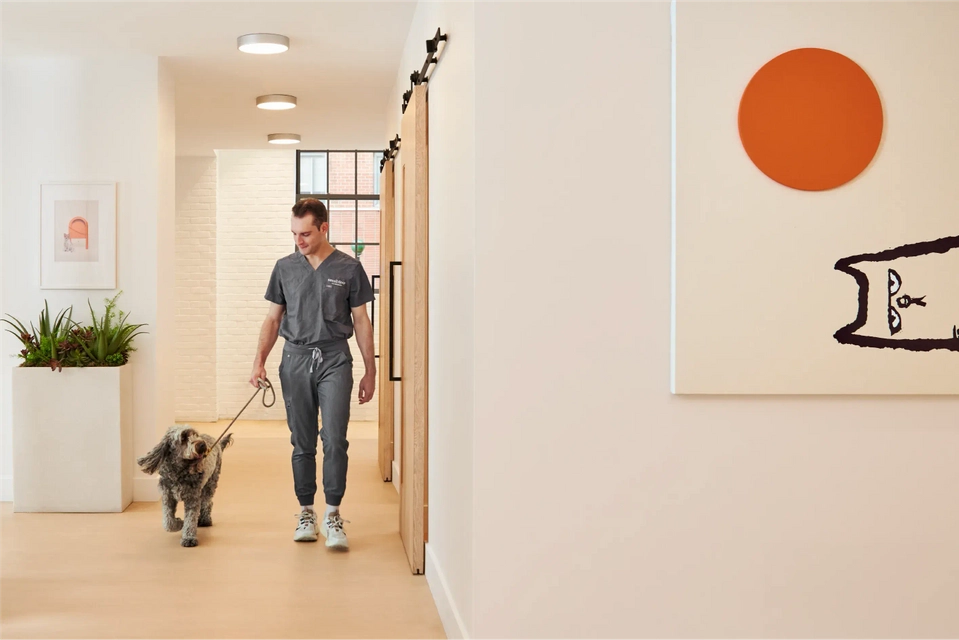 Vet nurse walking with a dog in the hallway